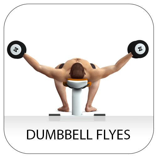 dumbbell flyes